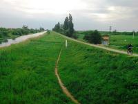 Imagine atasata: pista-5.jpg